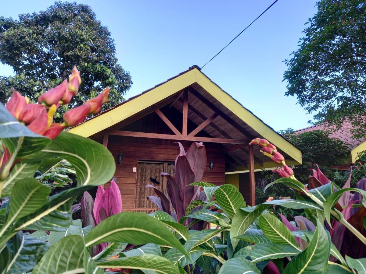 Selvita Lodge Arenal La Fortuna Exteriör bild